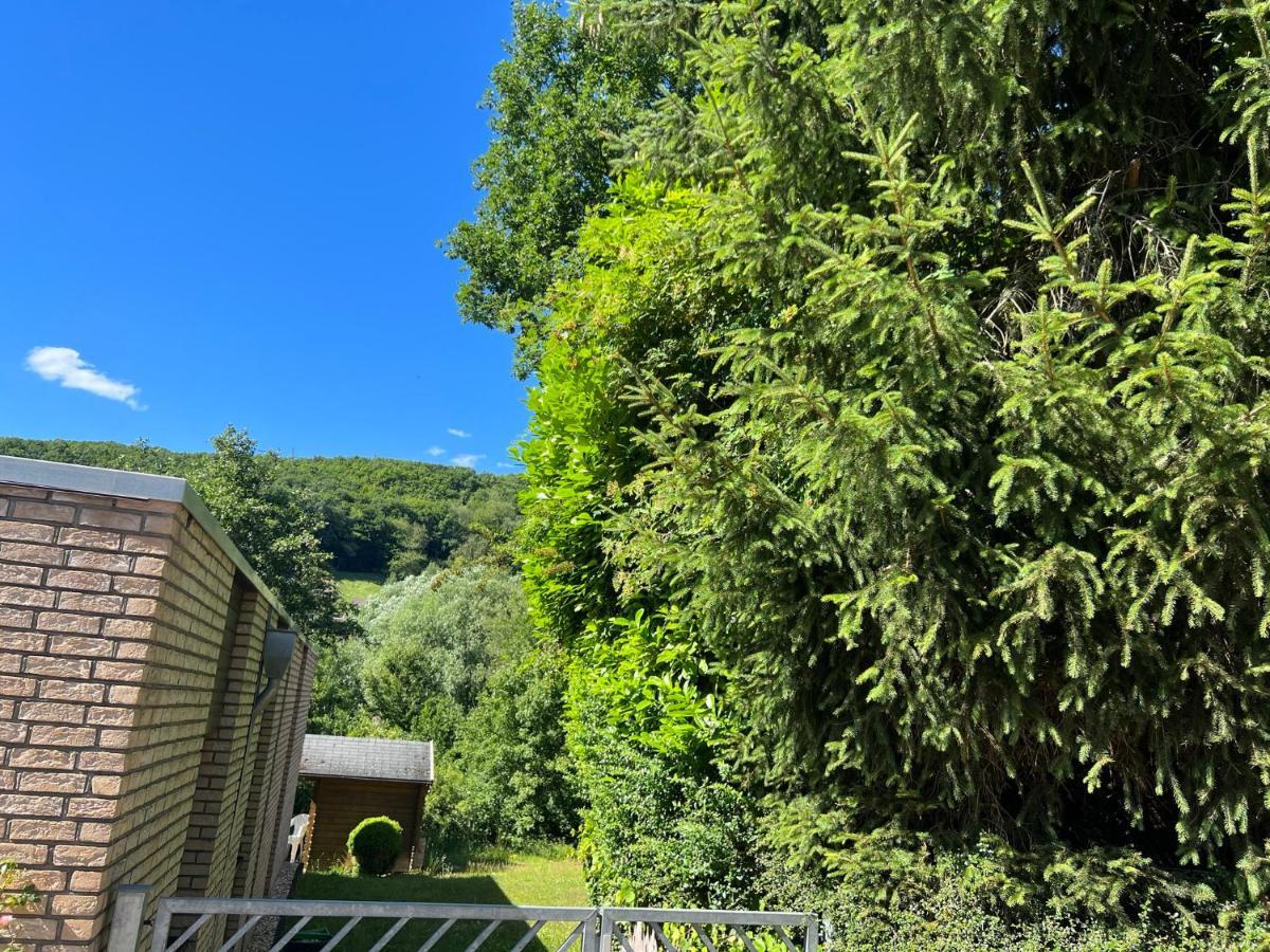 Hasenfeld Gaestehaus Zum Buchenweg מראה חיצוני תמונה