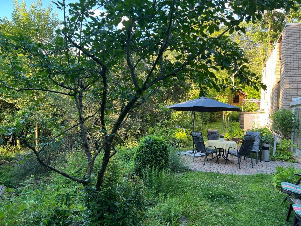 Hasenfeld Gaestehaus Zum Buchenweg מראה חיצוני תמונה